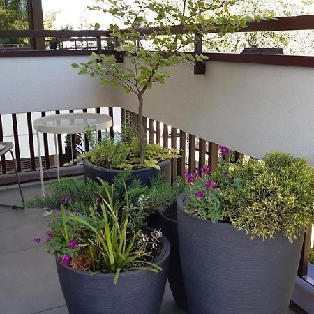 4Four Apartment, Villa Moderno, Taras, Parking Podziemny Torun Ngoại thất bức ảnh